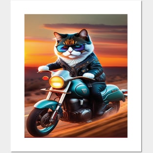 Cat with glasses riding a motorbike sunset Posters and Art